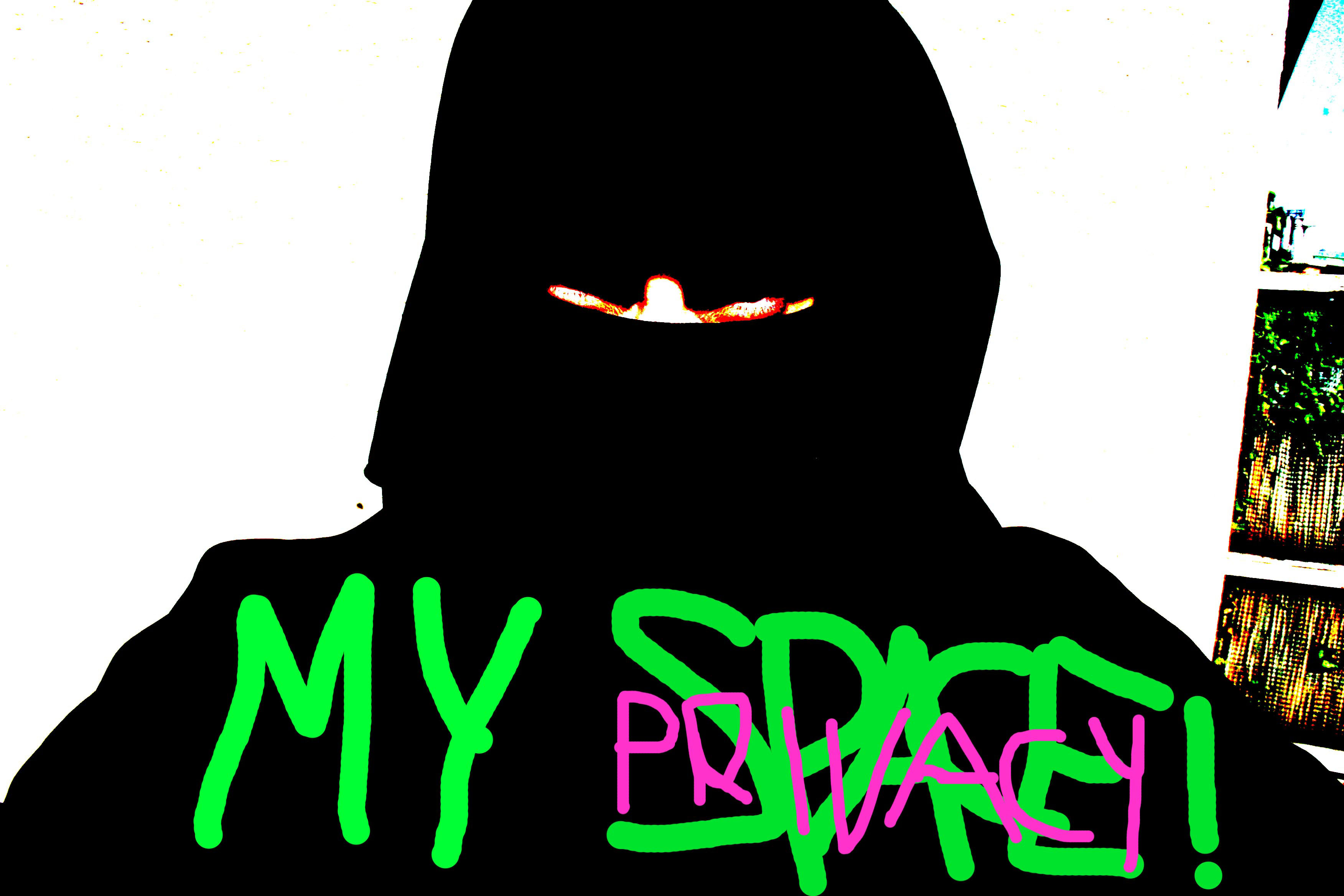 My space - my privacy; Lena Linse - 1526440.1